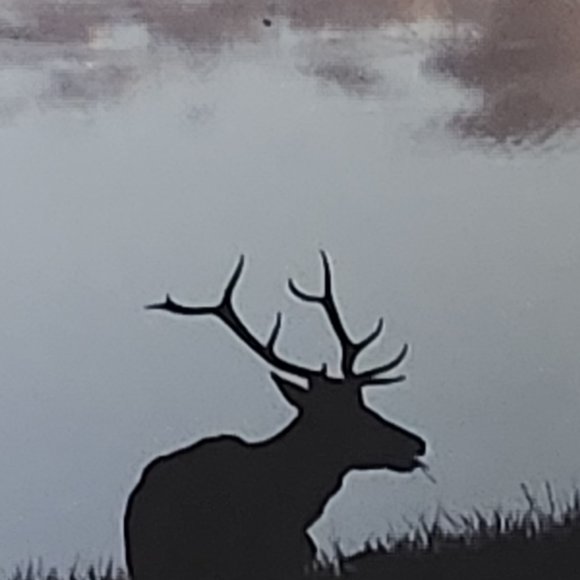 Wildlife Photo Art American Elk in Estes Colorado by Tom Mussehl - Picture 5 of 10